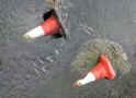 Cones, Yeovil