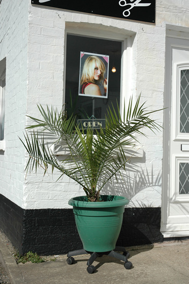 Hair salon, Bridport