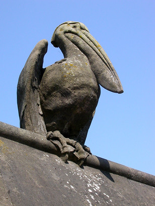 Pelican, Animal Wall, Cardiff, UK