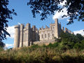 Arundel Castle with trees