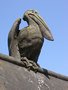Pelican, Animal Wall, Cardiff