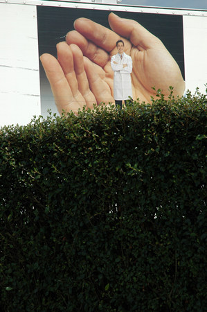 Hedge and advert, Southampton
