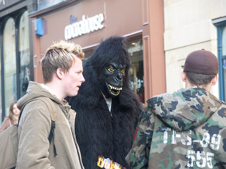 Gorilla, Bath