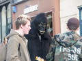 Gorilla, Bath