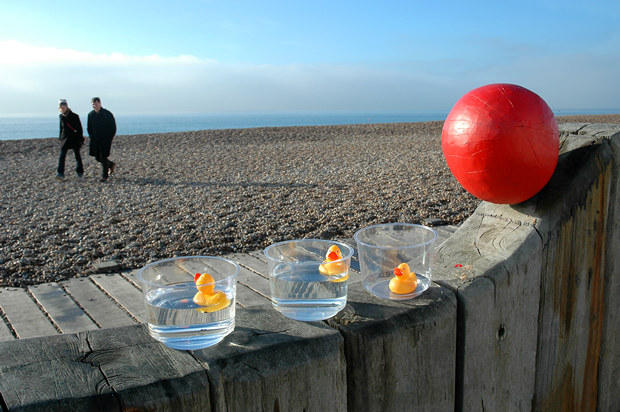 Rubber ducks, Brighton