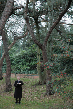 Among trees, Bournemouth