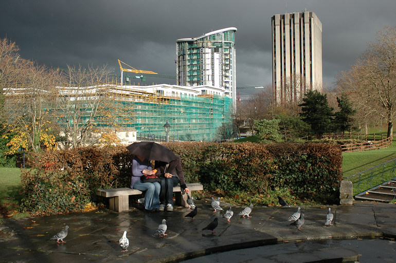 Pigeons