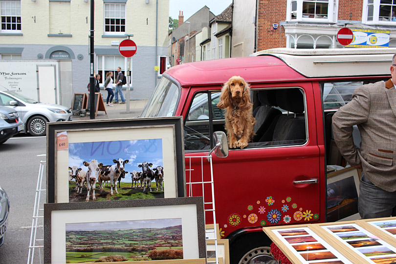 Paul Russell: 2016 selection. Photo 3