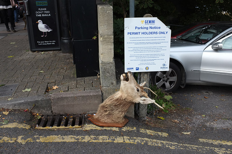 Paul Russell: 2016 selection. Photo 7