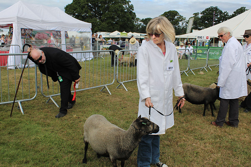 Paul Russell: 2016 selection. Photo 11