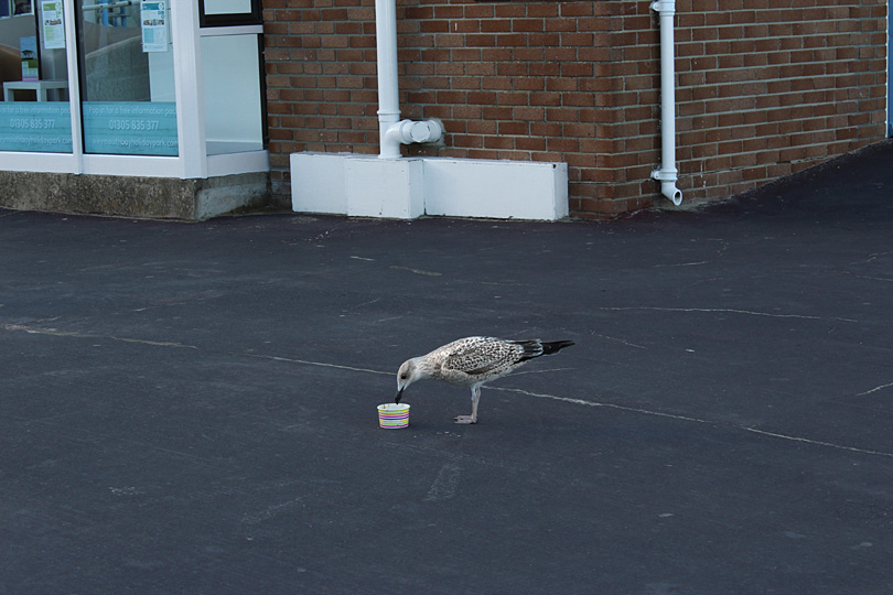 Paul Russell: 2016 selection. Photo 25