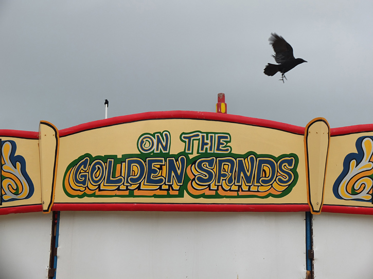 Weymouth on crutches. Photo 1