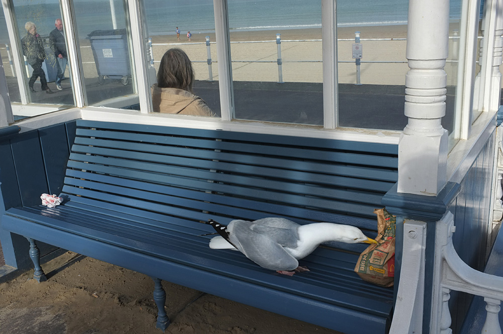 On Weymouth Beach, 2014-2018. Photo 2