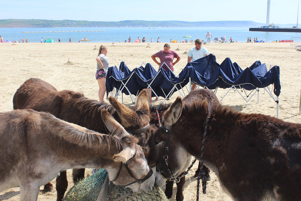 On Weymouth Beach, 2014-2018. Photo 7