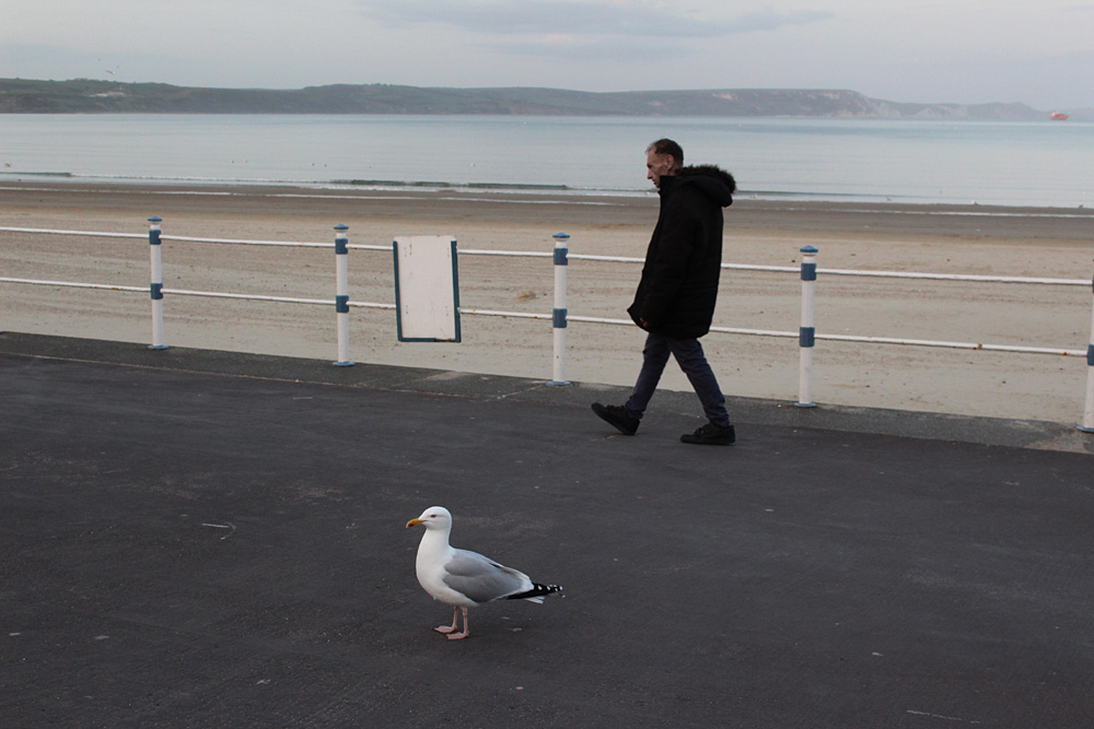 On Weymouth Beach, 2014-2018. Photo 15