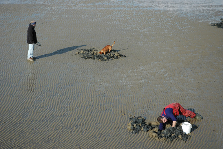 Beside the sea. Photo 22