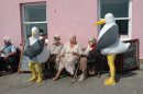 Large seagulls in Lyme Regis 