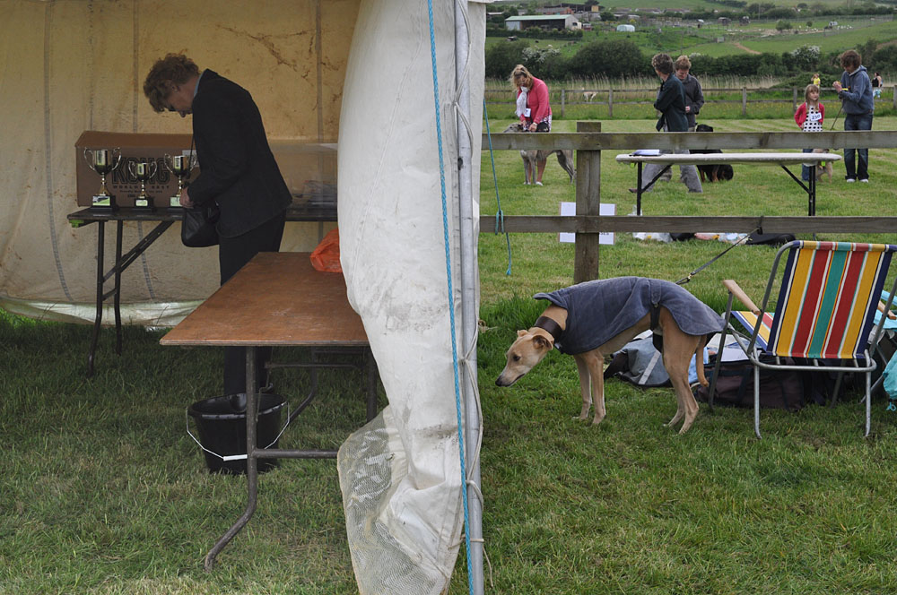 Country Show. Photo 17. Dogs and prizes, Brit Valley Dog Show, 2010