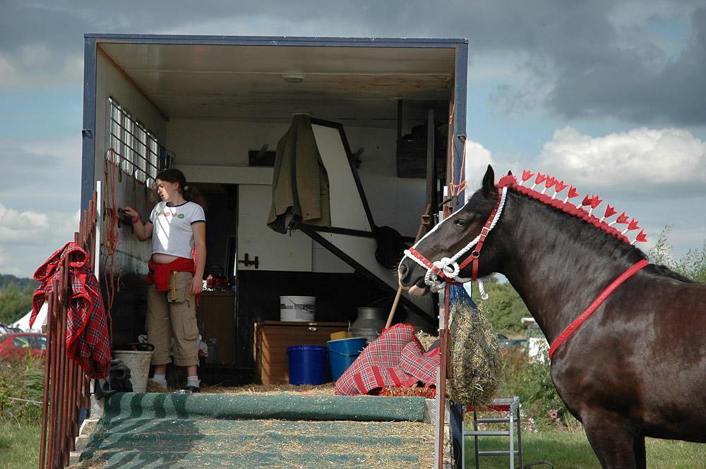 Country Show. Photo 25. Shire horse and sunlight trailer, Melplash Show, 2006