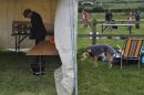 Dogs and prizes at the Brit Vally Companion Dog Show