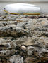 Boat and rocks, Weymouth