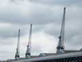 Cranes, Southampton