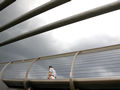 Millennium Bridge, London