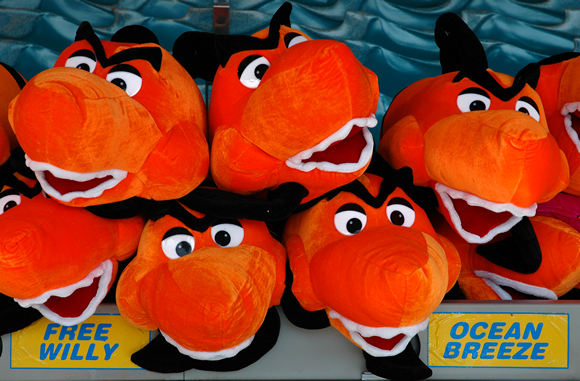 Fluffy sharks, Brighton Pier