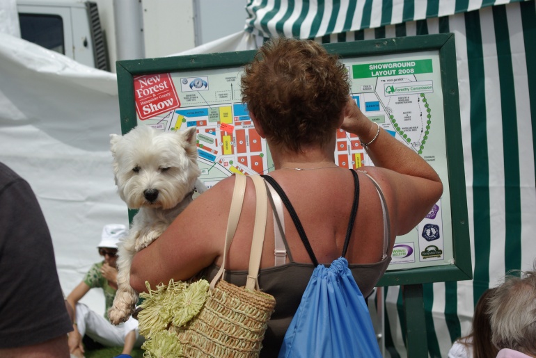 New Forest Show