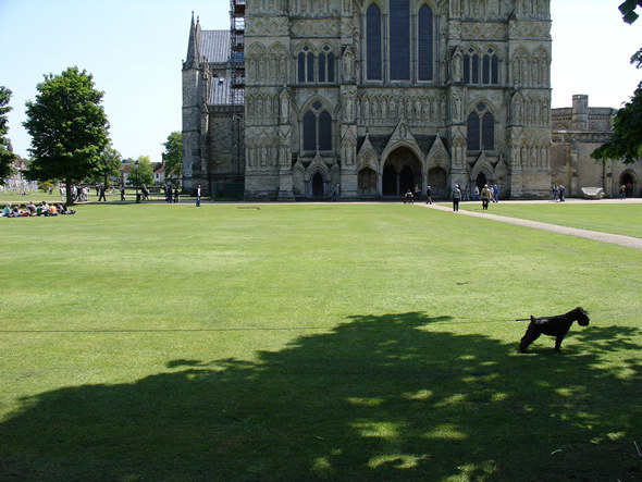 Salisbury Cathedral