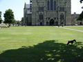 Salisbury Cathedral