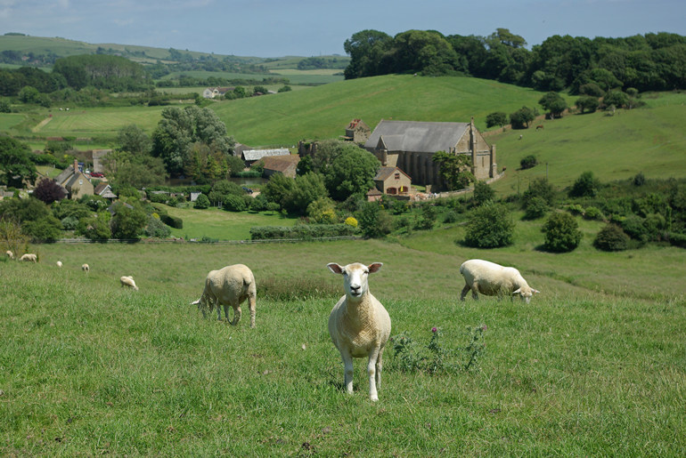 Abbotsbury