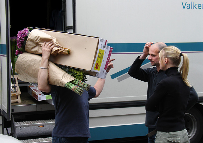 Flowers, Bournemouth