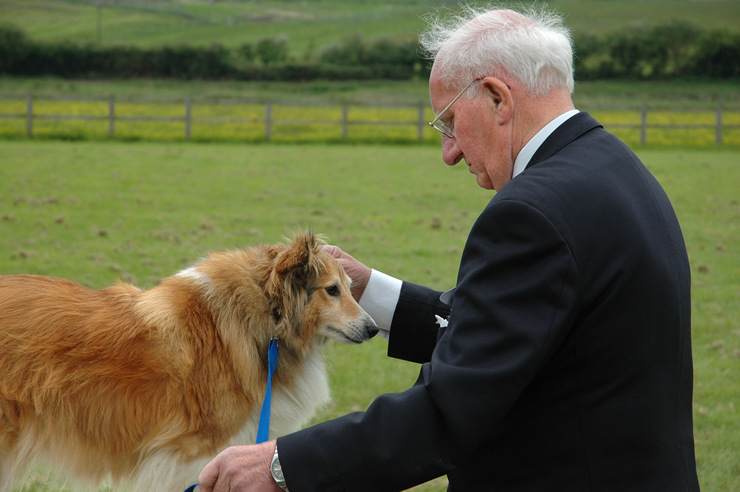 Dog show, Bridport