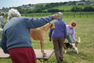 Dog Show, Bridport