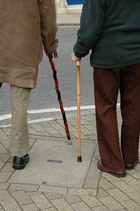 Walking sticks, Dorchester