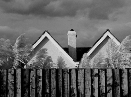 Over the wall II, Bognor