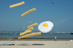 Egg kites