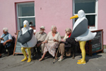 Lyme Regis, big seagulls