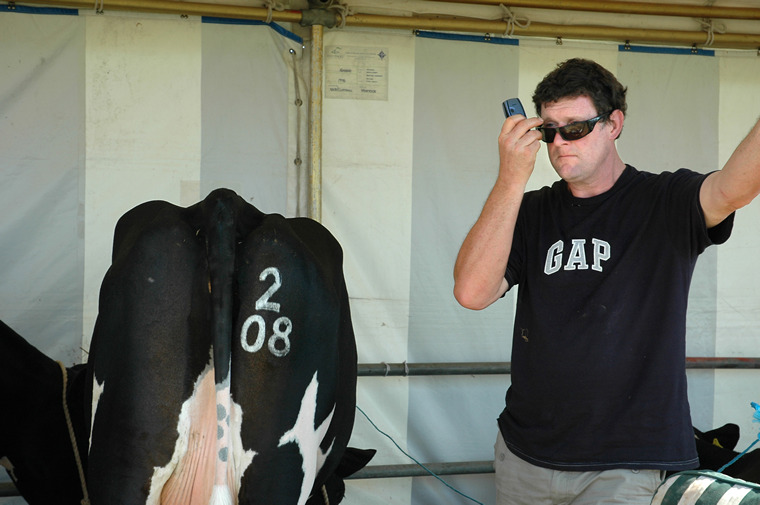 Branded, the Dorchester Show