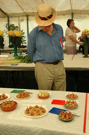Onions, the Dorchester Show
