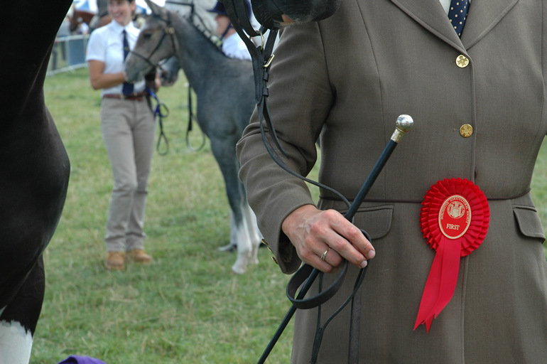 Dorset County Show