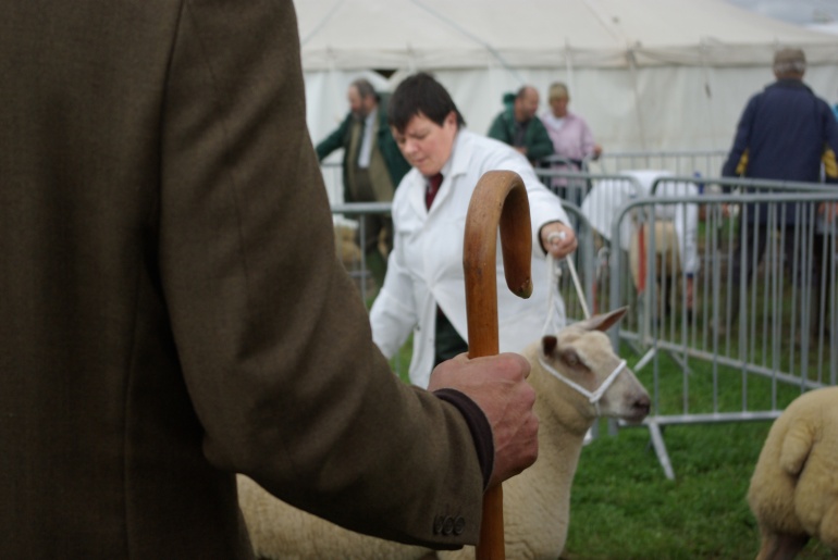 Dorset County Show