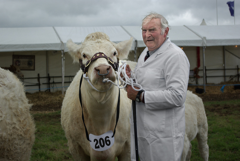 Dorset County Show