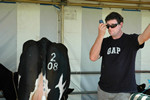 dorchester show