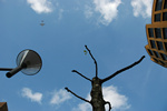 Plane, London