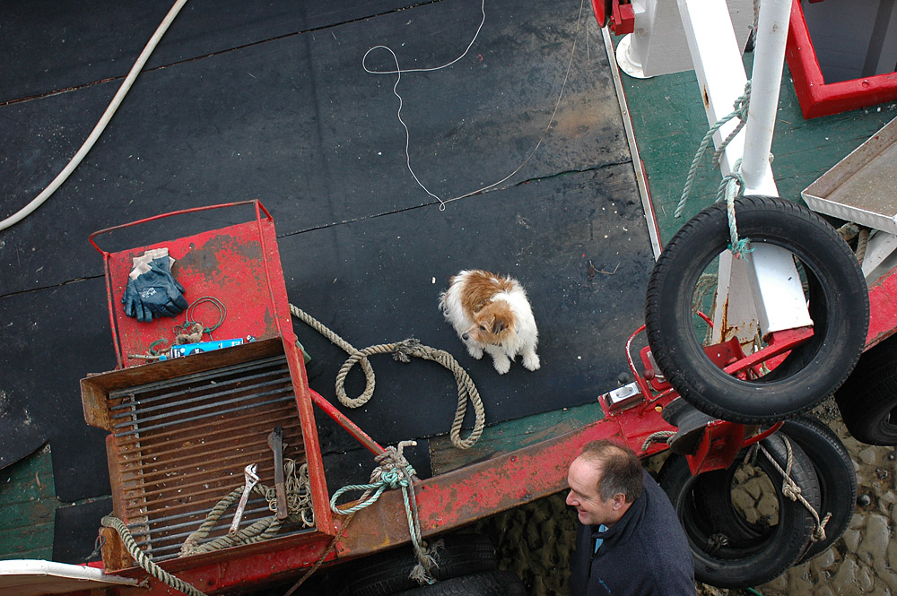 West Bay Days. Photo 12