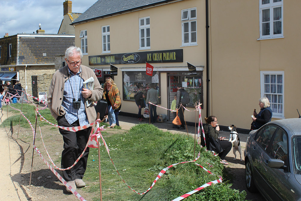 West Bay Days. Photo 15