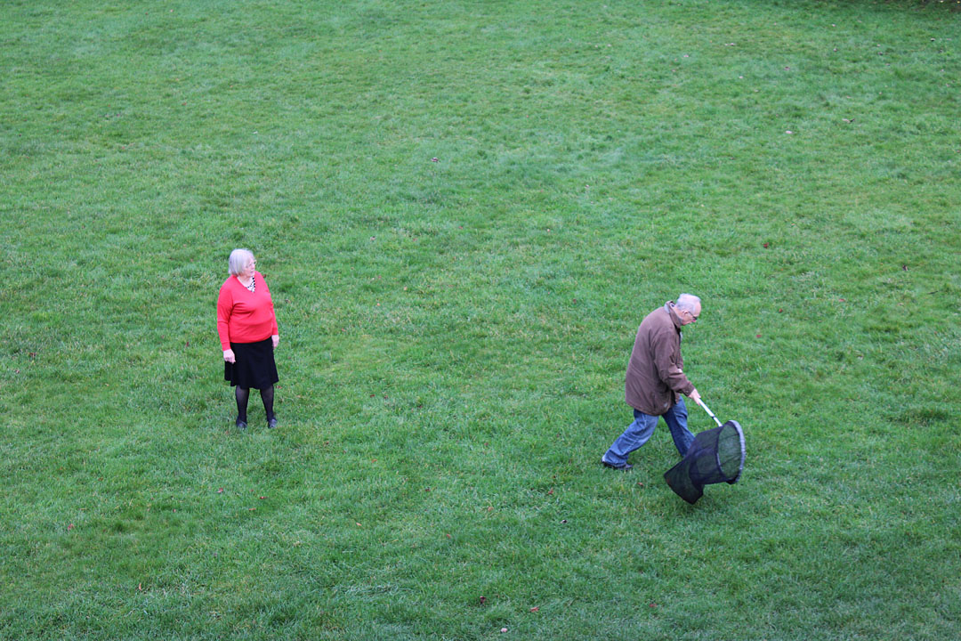 Photo 9, using a sweep net at Maumbury Rings in Dorchester