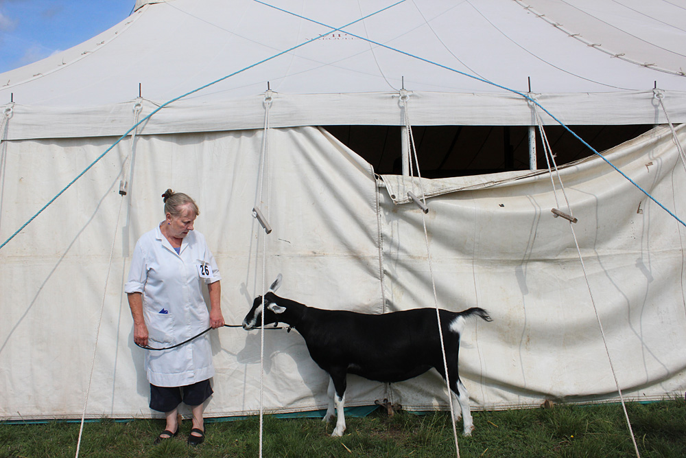 Melplash Show. Photo 2